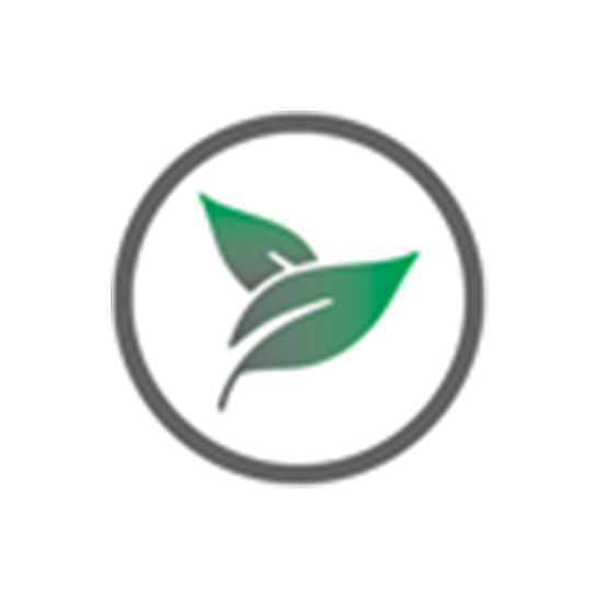 eco vriendelijk groen